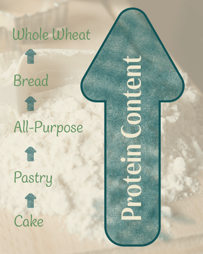 graphic showing protein content of different kinds of flour