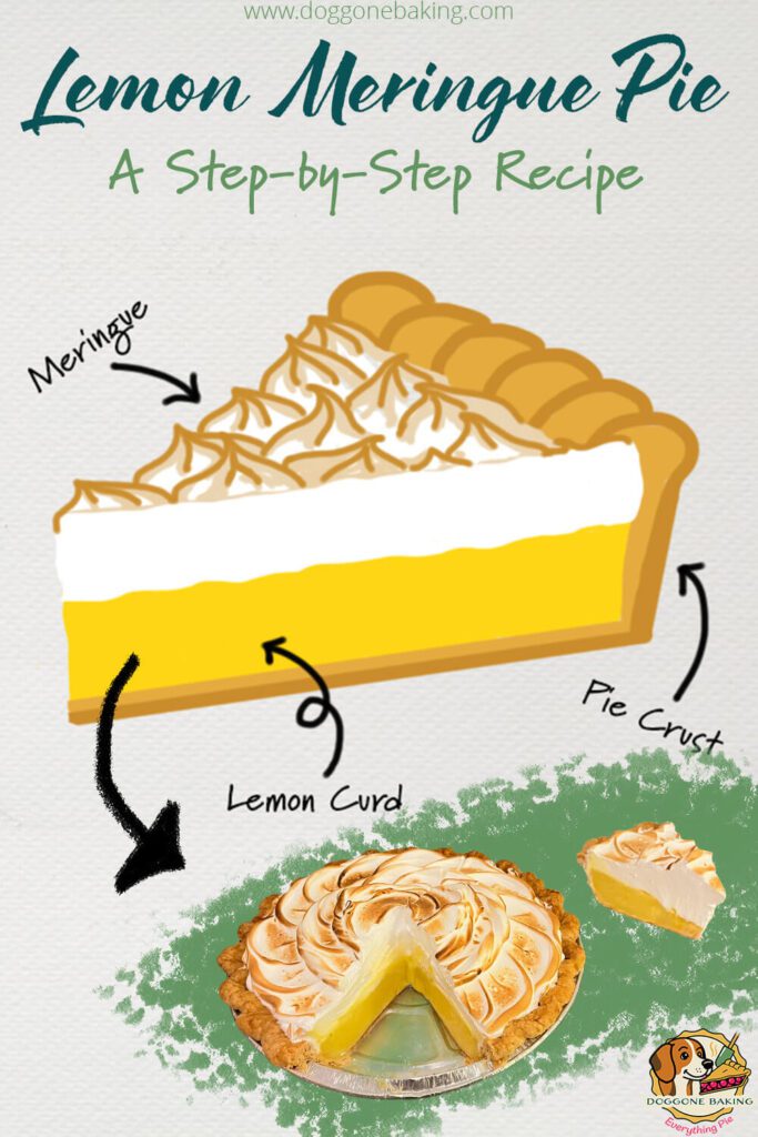 anatomical drawing of lemon meringue pie pinterest pin