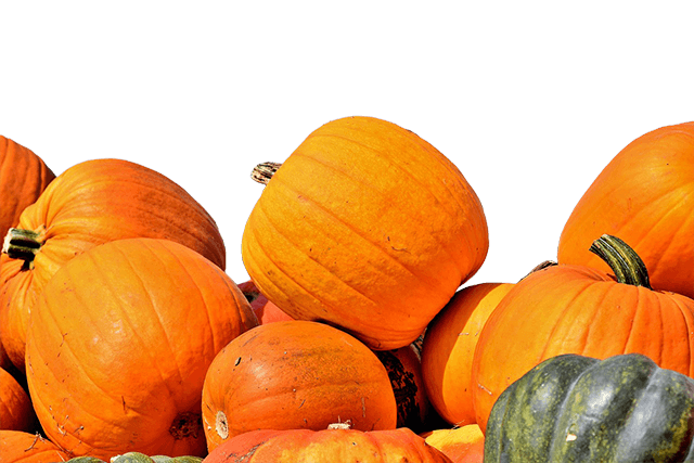 pile of pumpkins