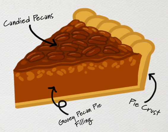 anatomical digital drawing of a slice of pecan pie with labels for candied pecans, pie crust, and gooey pecan pie filling