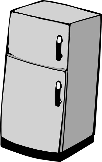 vector image of a refrigerator