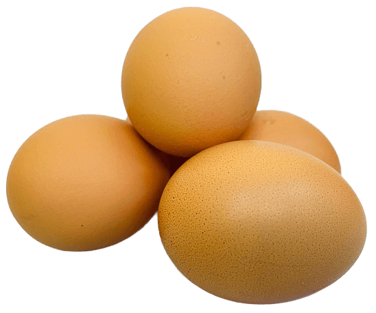 eggs no background