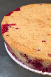 close up shot of a baked Nantucket cranberry pie (cranberry upside-down cake)