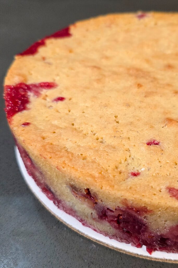 close up shot of a baked Nantucket cranberry pie (cranberry upside-down cake)