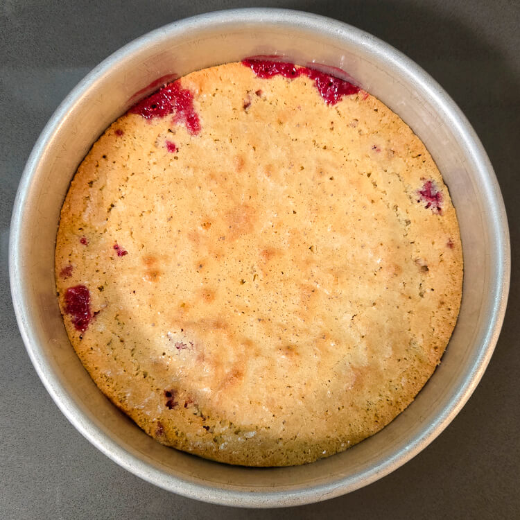 overhead shot of a freshly baked Nantucket cranberry pie still in the cake pan