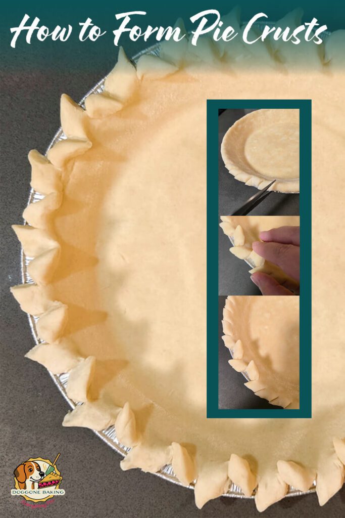 Pie Crust Forming Pinterest Pin