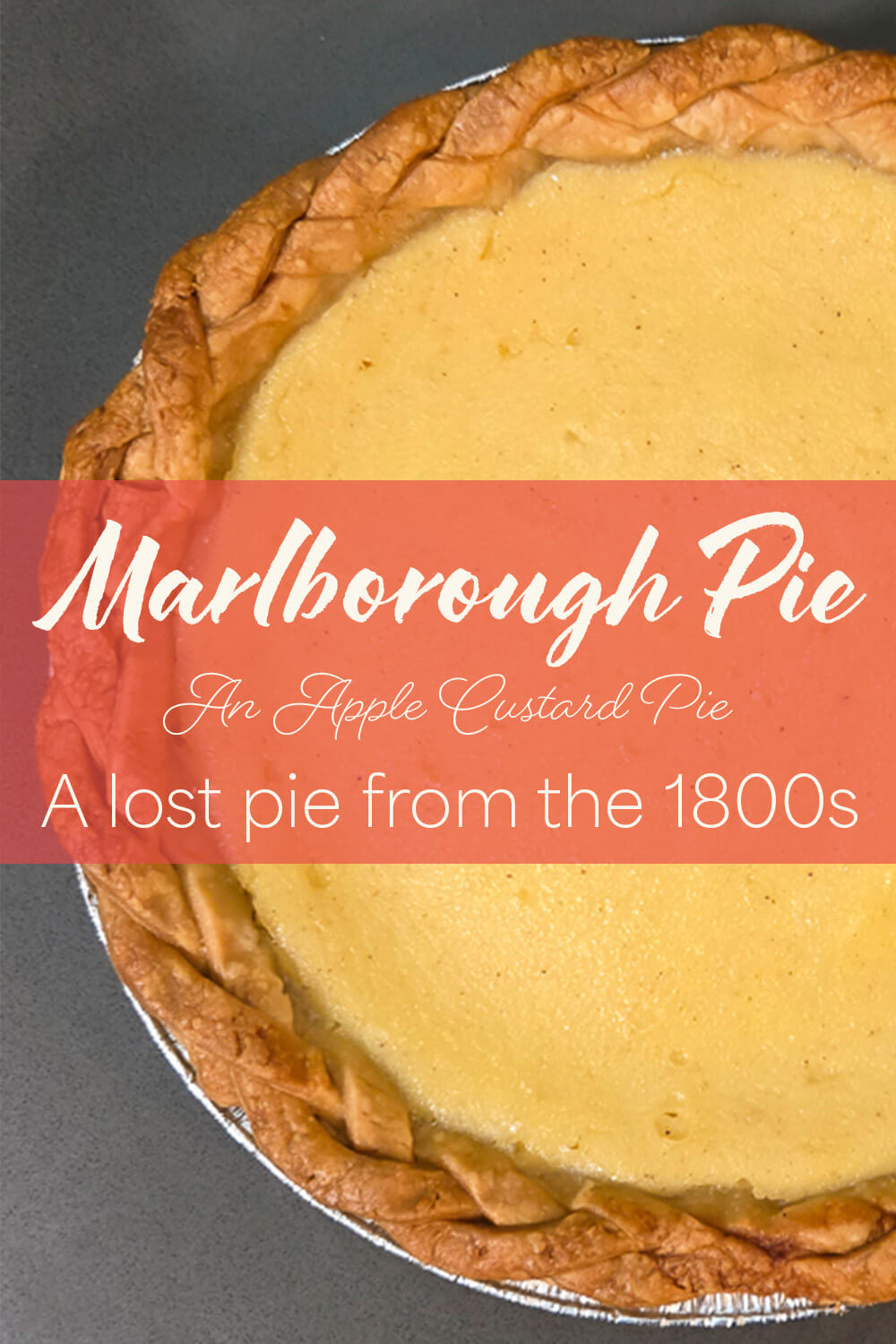 Homemade Marlborough pie with golden custard filling and crisp crust, a vintage apple custard pie recipe from the 1800s revived for Thanksgiving.