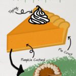 Illustrated pumpkin pie slice diagram showing labeled layers for crust, custard, and topping, with real pie photo, educational baking graphic.