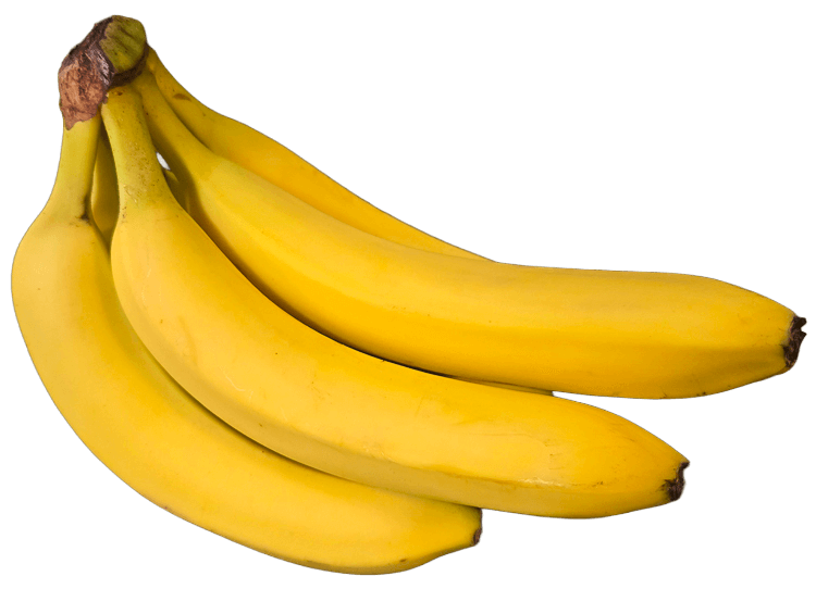 a photo of yellow cavendish bananas with no background