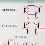 Diagram comparing glucose, fructose, and sucrose molecular structures for an educational post about corn syrup and its uses in baking.