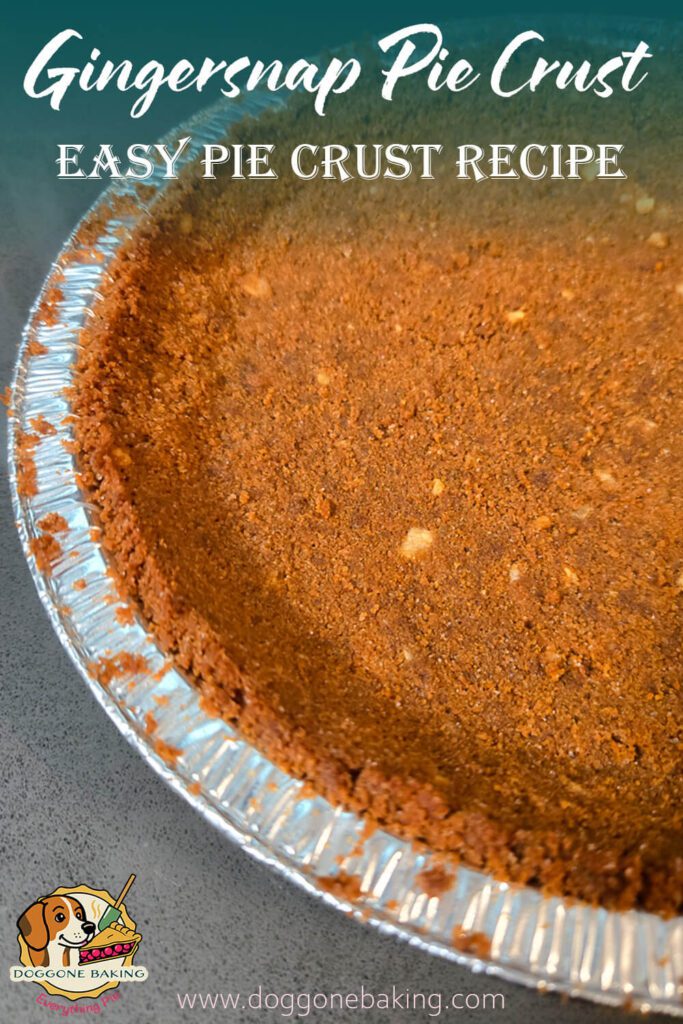 Close-up of a homemade gingersnap pie crust in a metal pie tin, showing its crisp, spiced crumb texture.