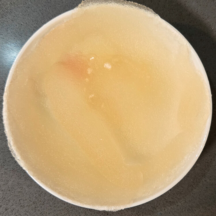 unflavored gelatin being bloomed by sprinkling it over water